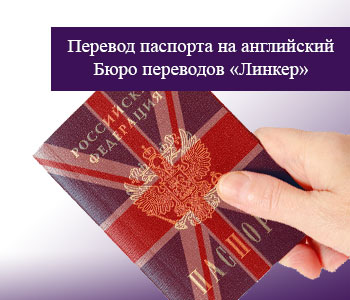 Фото Паспорта При Устройстве На Работу